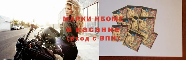 прущие грибы Волоколамск