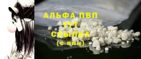 прущие грибы Волоколамск