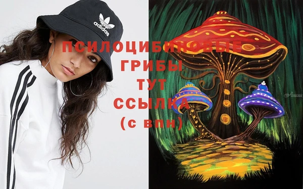 прущие грибы Волоколамск
