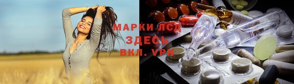 прущие грибы Волоколамск