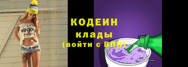 прущие грибы Волоколамск