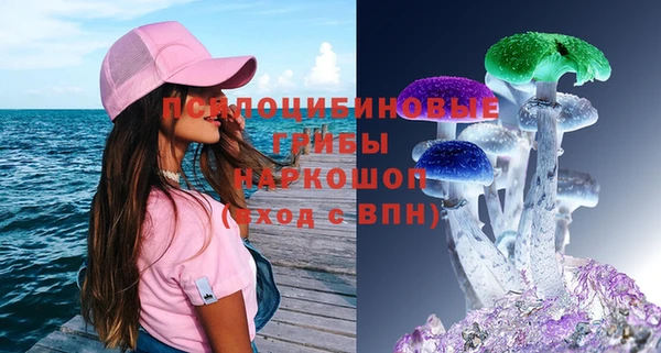 прущие грибы Волоколамск