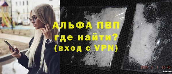 прущие грибы Волоколамск