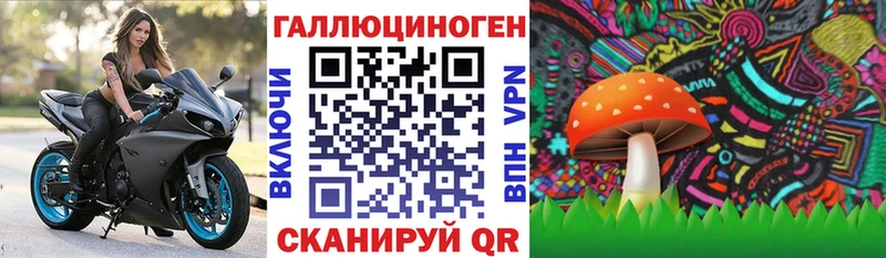 Псилоцибиновые грибы MAGIC MUSHROOMS  Купить  Сясьстрой 
