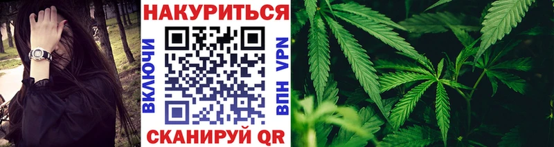 Купить где  Сясьстрой  Марихуана White Widow 
